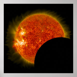 Solar Eclipse in Progress Poster
