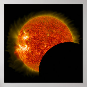 Solar Eclipse in Progress Poster