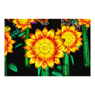 Solar Flare Sunflowers  Photo Print