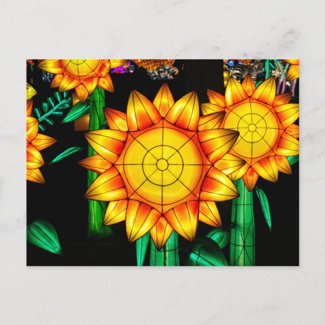 Solar Flare Sunflowers  Postcard (Front)