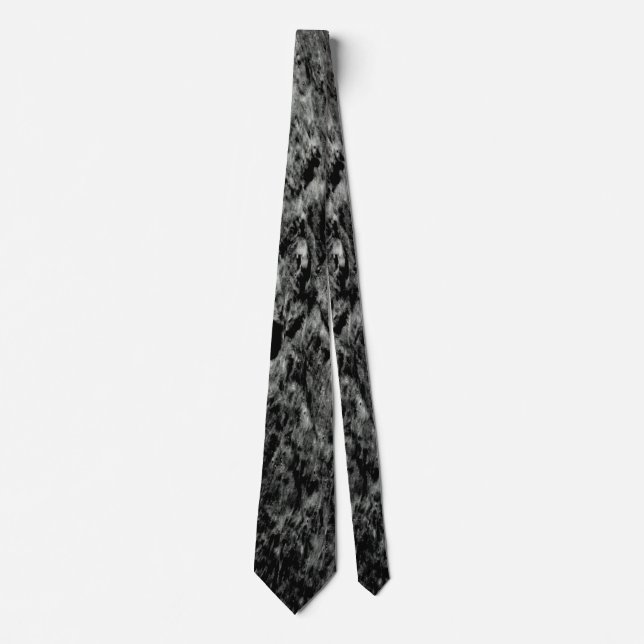 Solar System Voyager Lunar Surface NASA Photo Tie (Front)