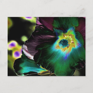 Solarised Hibiscus Photography -Postcard Postcard
