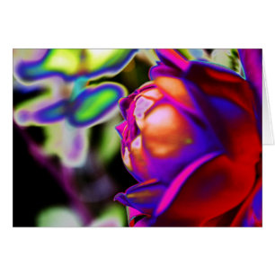 Solarised Rose by Shirley Taylor