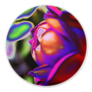 Solarised Rose by Shirley Taylor Ceramic Knob