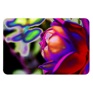Solarised Rose by Shirley Taylor Magnet
