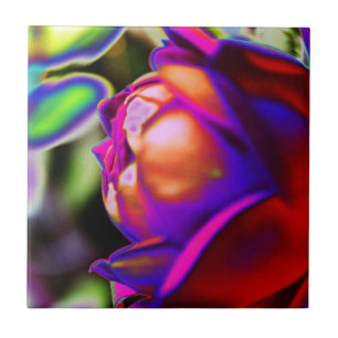 Solarised Rose by Shirley Taylor Tile