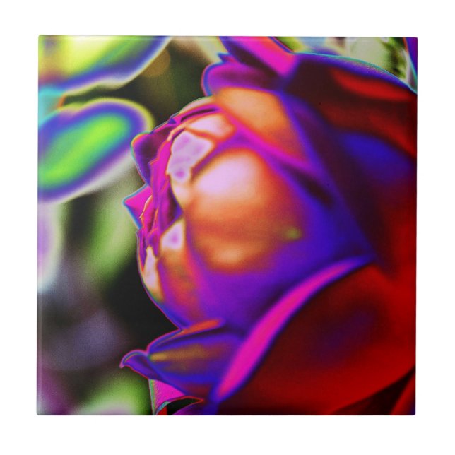 Solarised Rose by Shirley Taylor Tile (Front)