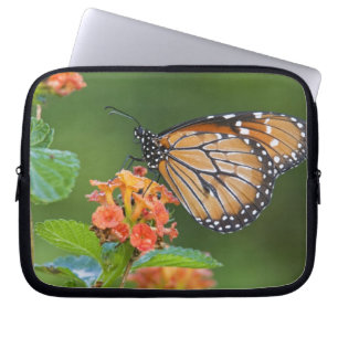 Soldier (Danaus eresimus) butterfly feeding Laptop Sleeve
