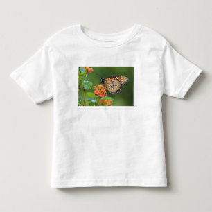 Soldier (Danaus eresimus) butterfly feeding Toddler T-Shirt
