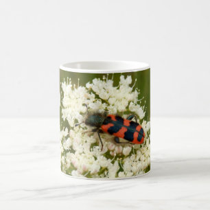 Soldier or Chequered Beetle Bug Mug