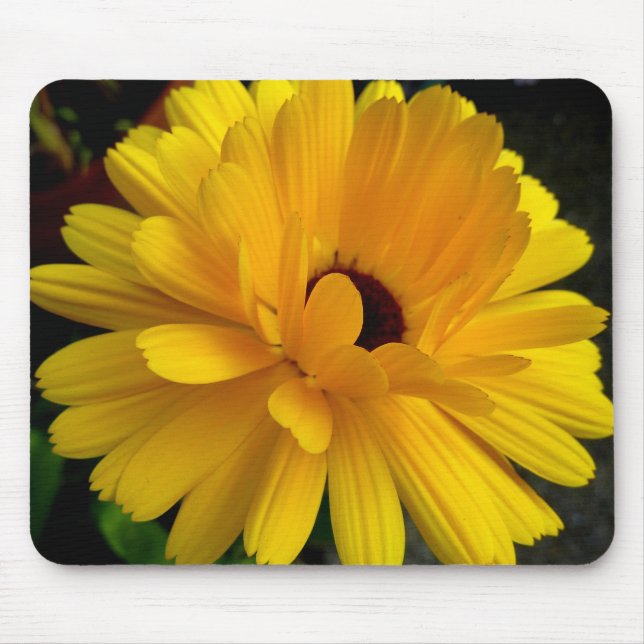 Soleil couchant! mouse pad (Front)