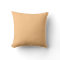 Solid Apricot Pop of Colour