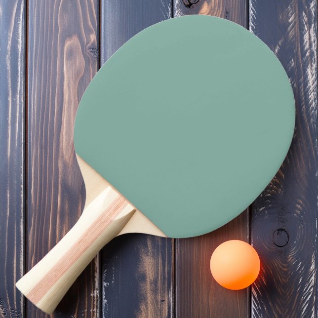 Solid Aqua Reef Colour Ping Pong Paddle (Creator Uploaded)