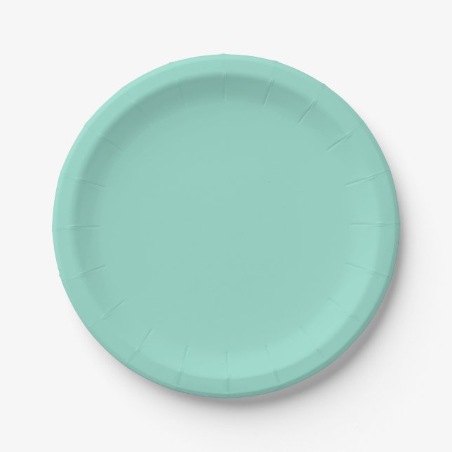 Solid colour Beach Glass plain aqua green mint  Paper Plate (Front)
