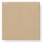 Solid Colour: Camel Brown