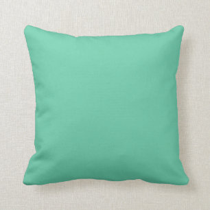 Solid Colour Medium Aquamarine Cushion