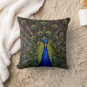 Solid colour Peacock Pillow Designs