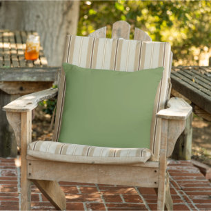 Solid colour plain thyme sage green  cushion