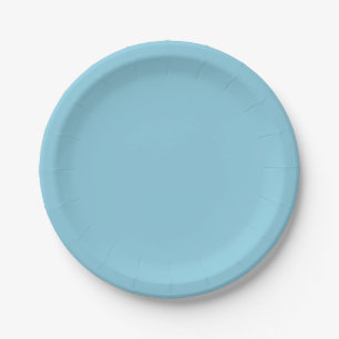 Solid colour plain Winter light Blue Paper Plate