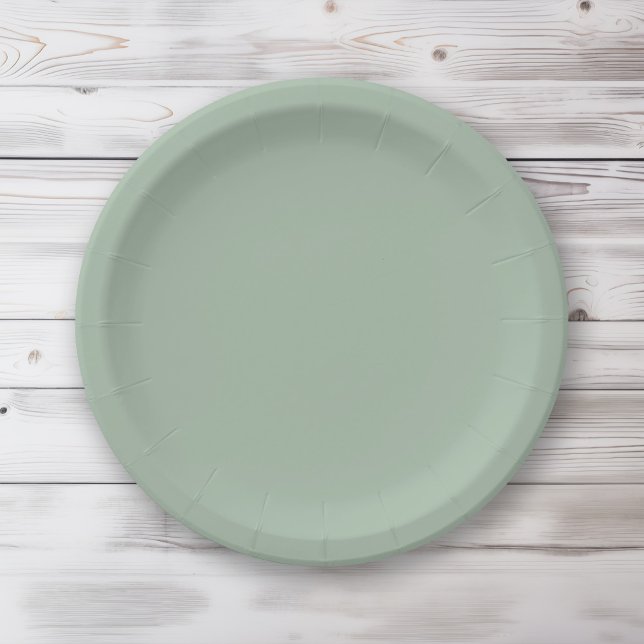 Solid colour Sage Mist light green Paper Plate (Creator Uploaded)