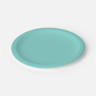 Solid Colour: Turquoise Aqua Paper Plate