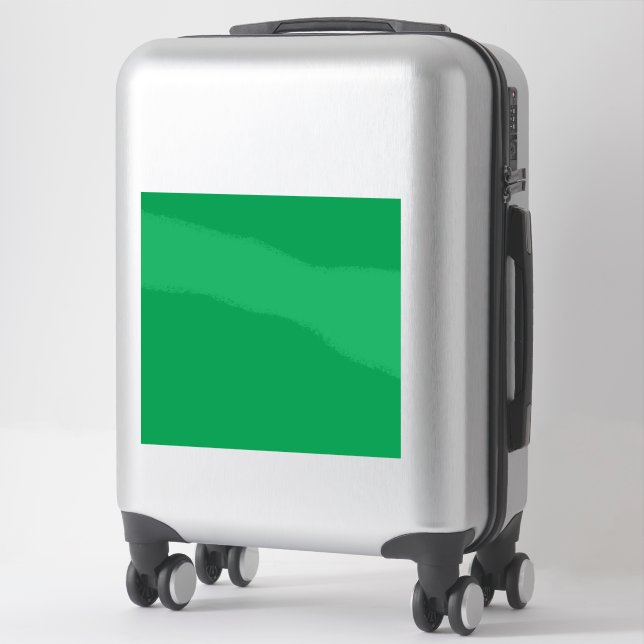 Solid Green Background  (Suitcase)