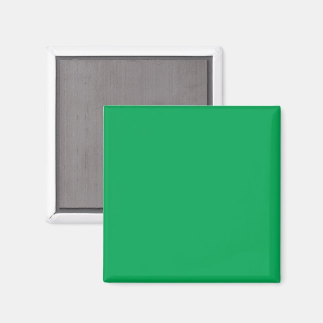Solid Green Background  Magnet (Front/Back)