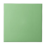 Solid Green Ceramic Tile<br><div class="desc">This pretty green is the matching solid tile for my moth series of ceramic tiles.</div>