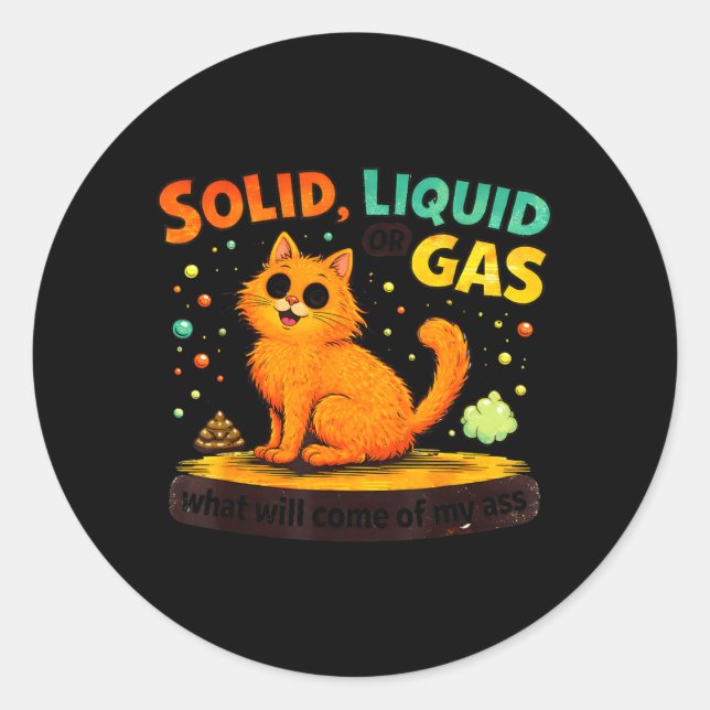 Solid Liquid Or Gas Funny Cat Physics Science Classic Round Sticker (Front)