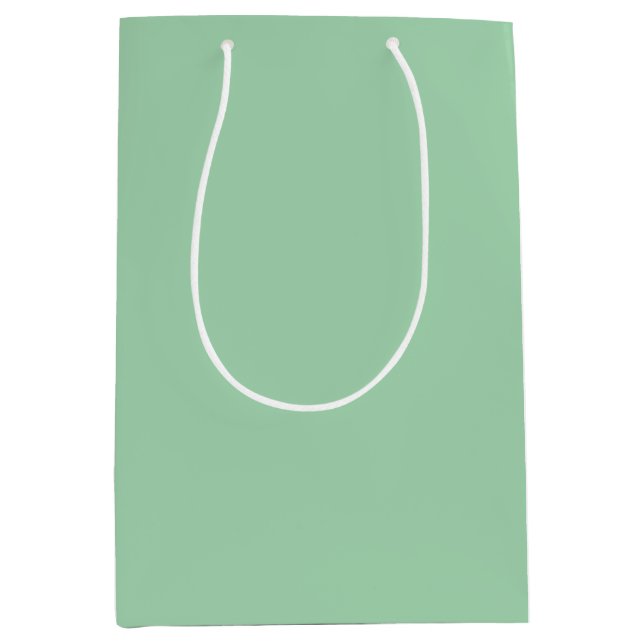 Solid Mint Green Medium Gift Bag (Front)