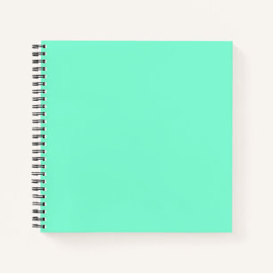 Solid, mint, green notebook