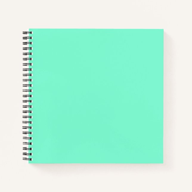 Solid, mint, green notebook (Front)