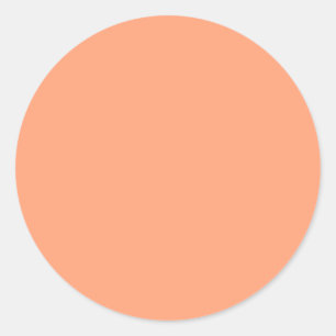Solid Salmon Pink colour background customisable Classic Round Sticker