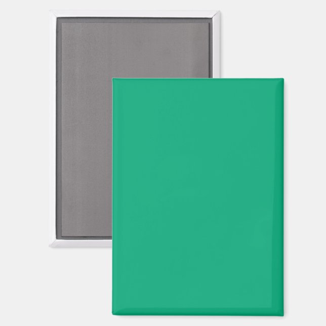 Solid teal background with a smooth even texture magnet (Front/Back)