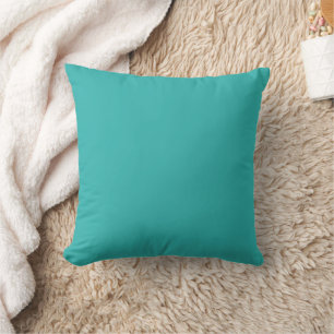 Solid Teal Colour Cushion