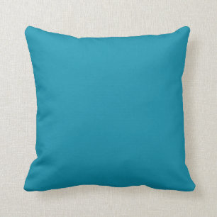 Solid Turquoise Blue Pop of Colour Cushion