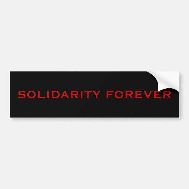 SOLIDARITY FOREVER BUMPER STICKER (Front)
