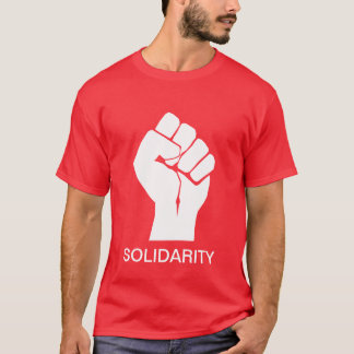 Solidarity With Wisconsin's Unions T-Shirt