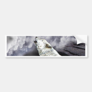 SOLITAIRE AND LONE BUMPER STICKER