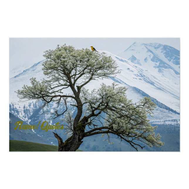 Solitary Blossoming Tree and Snowy Mountains Poster (Front)