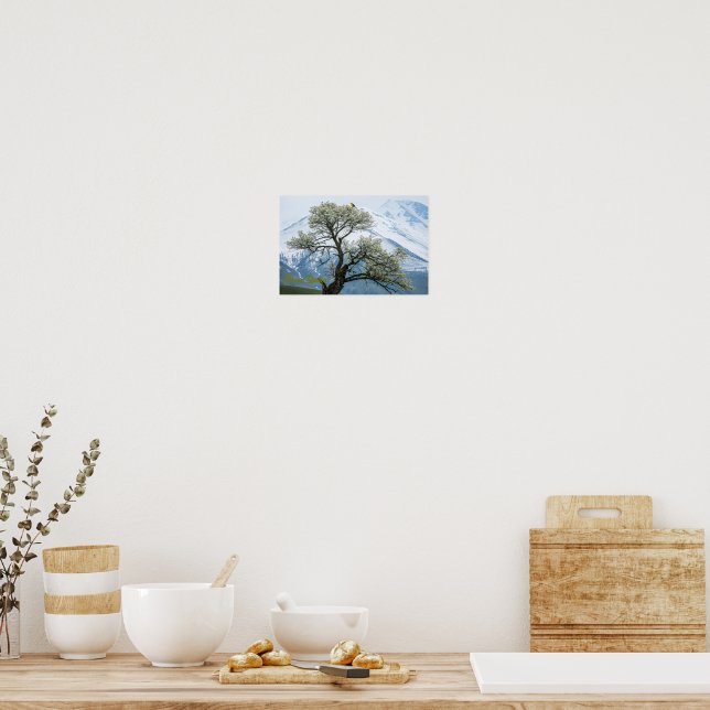 Solitary Blossoming Tree and Snowy Mountains Poster (Kitchen)