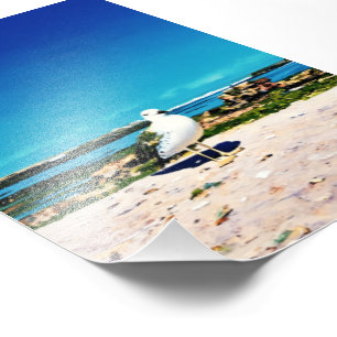 Solitary Gull Photo Print