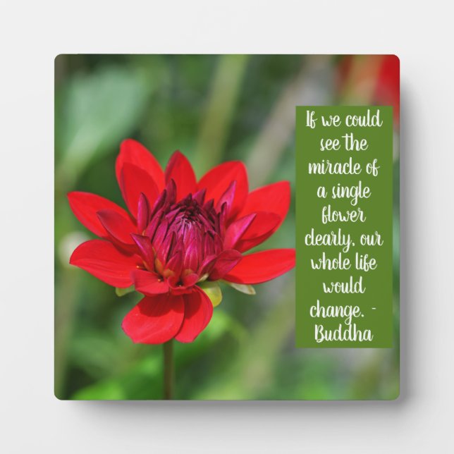 Solitary Red Dahlia Flower Wisley Motivational Plaque (Front)