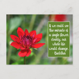 Solitary Red Dahlia Flower Wisley Motivational Postcard