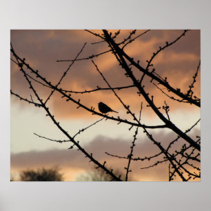 Solitary Silhouette Poster