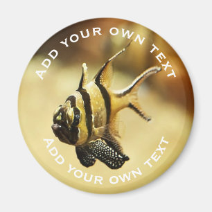 Solitary Stripy Angelfish Underwater Custom Text Magnet