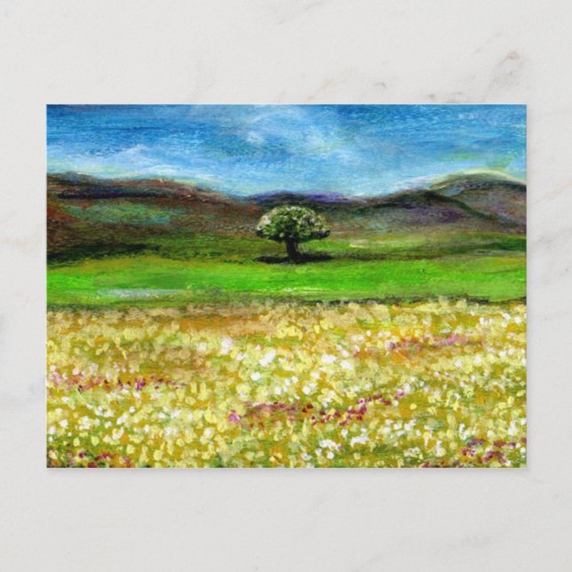 SOLITARY TREE IN THE YELLOW FLOWER FIELD,TUSCANY POSTCARD (Front)