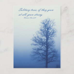Solitary Trees Grow Strong  -  Postcard