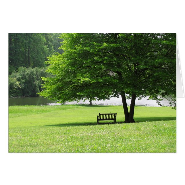 Solitude (Front Horizontal)