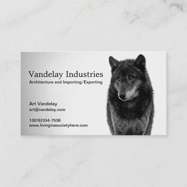 "Solitude" Business Cards (Front)